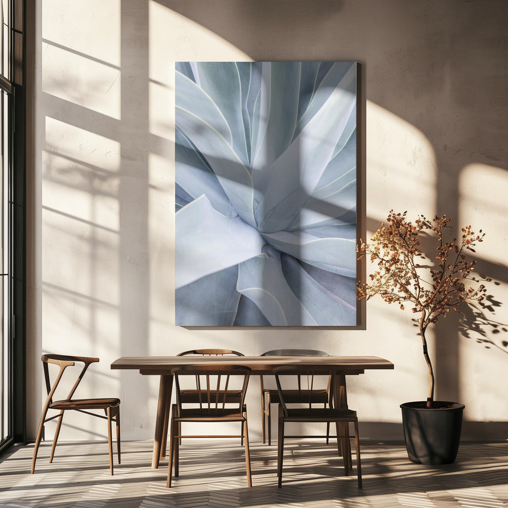 Silver Succulent Swirl | Canvas