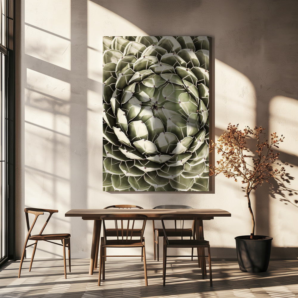 Geometric Succulent | Canvas