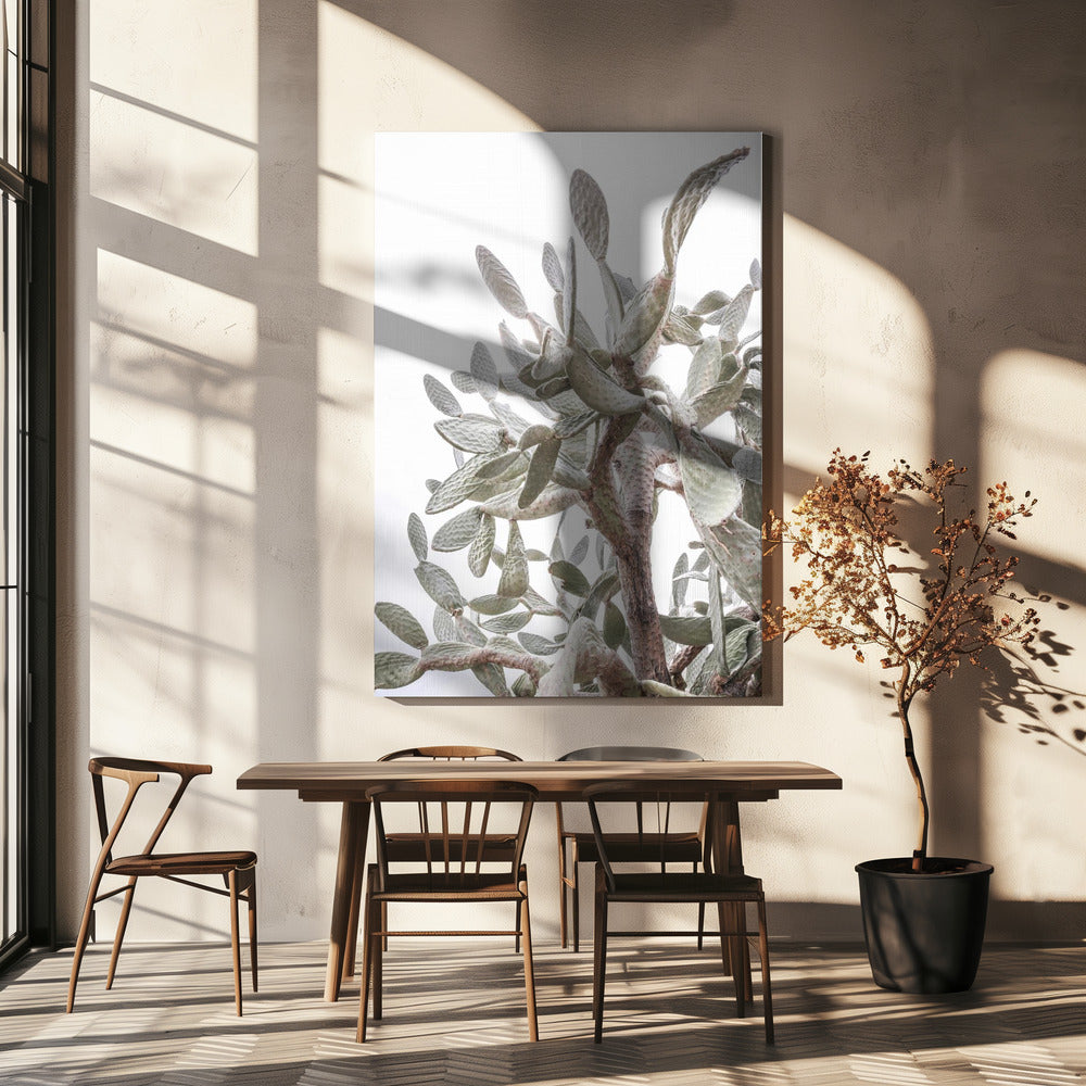 Cactus Whispers | Canvas