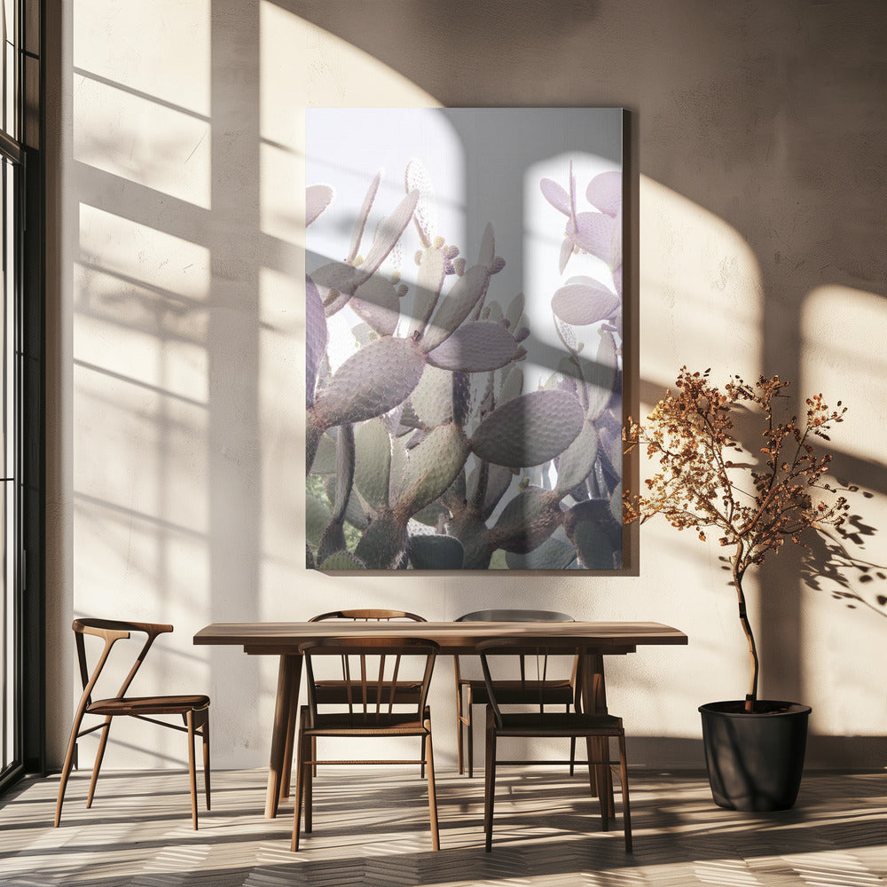 Prickly Serenity | Canvas