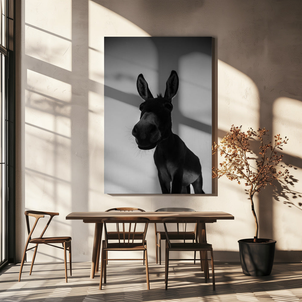 Curious Donkey Gaze | Canvas