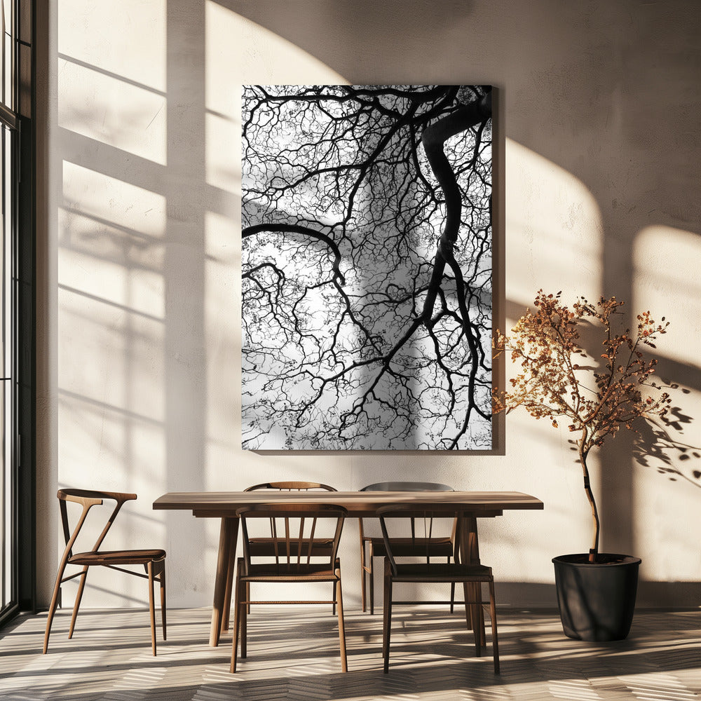 Branches' Dance | Canvas