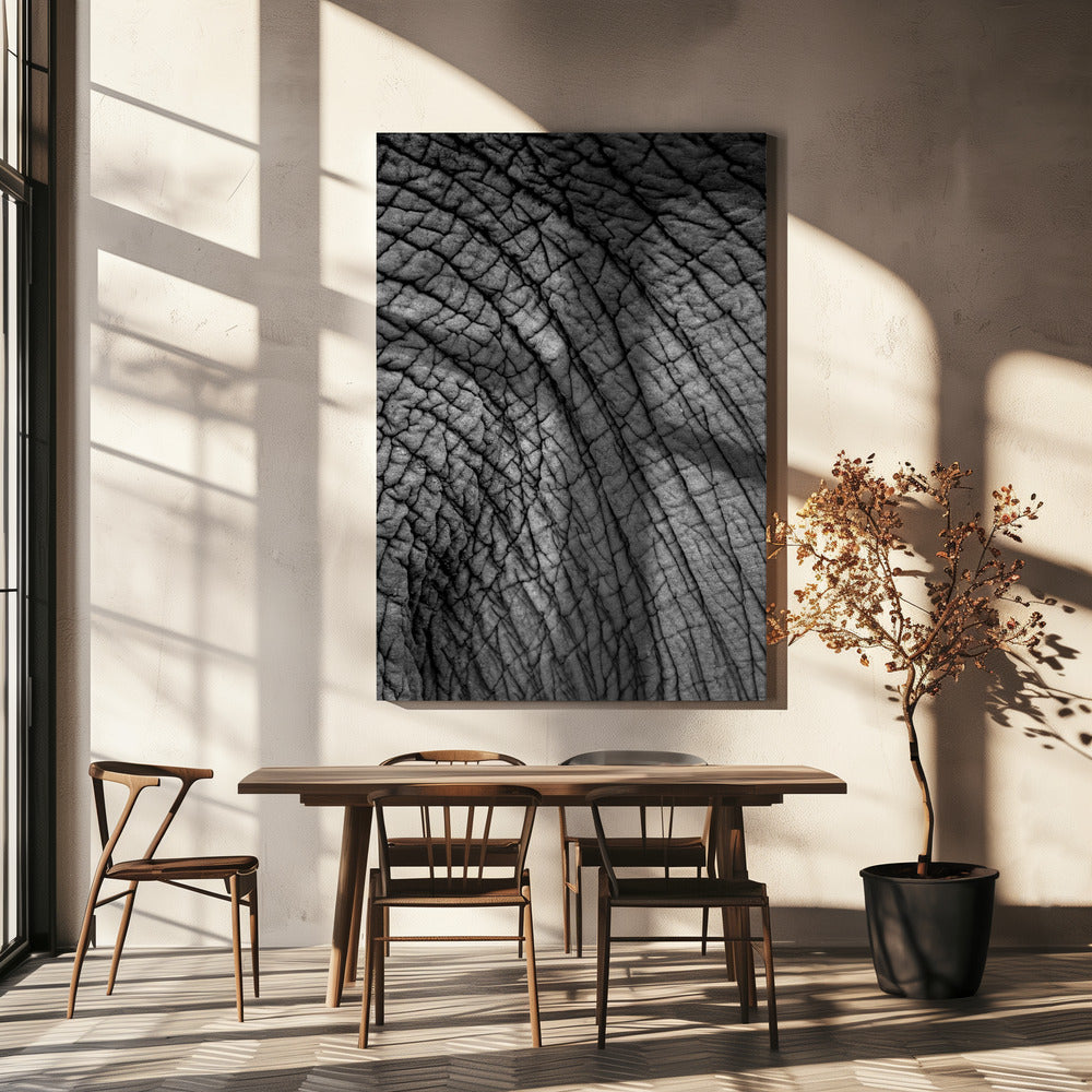 Elephant Texture | Canvas