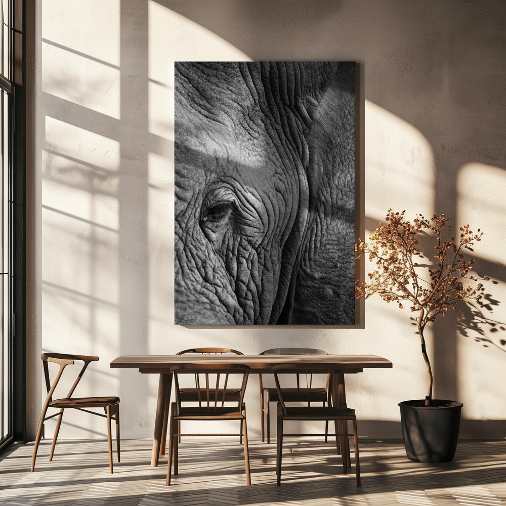 Wisdom&#039;s Wrinkles | Canvas