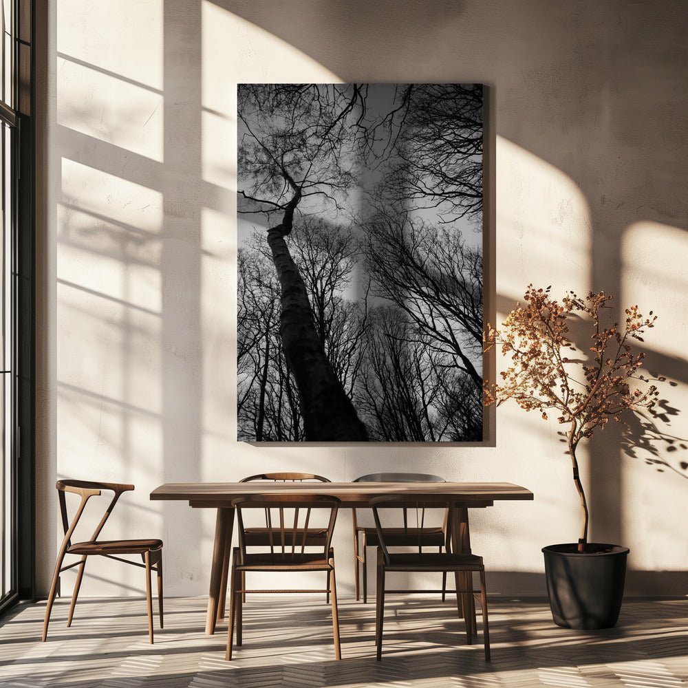 Winter&#039;s Reach | Canvas