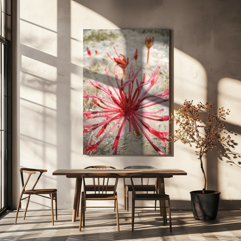 Crimson Spirals | Canvas