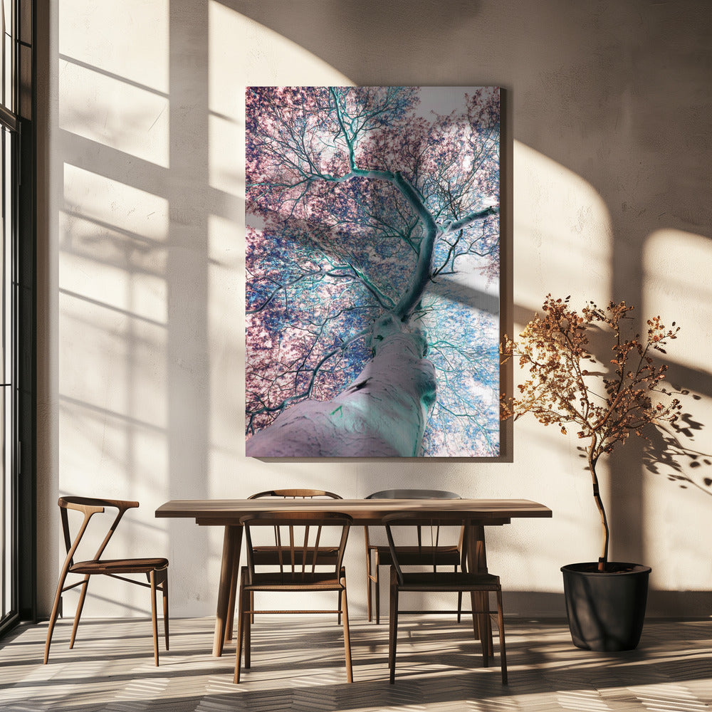Dreamscape Canopy | Canvas