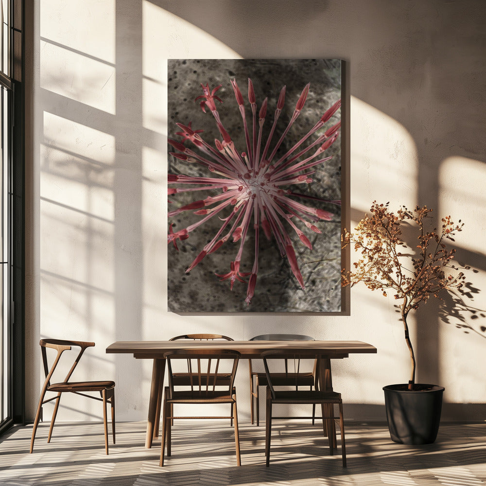 Radiant Blooms | Canvas