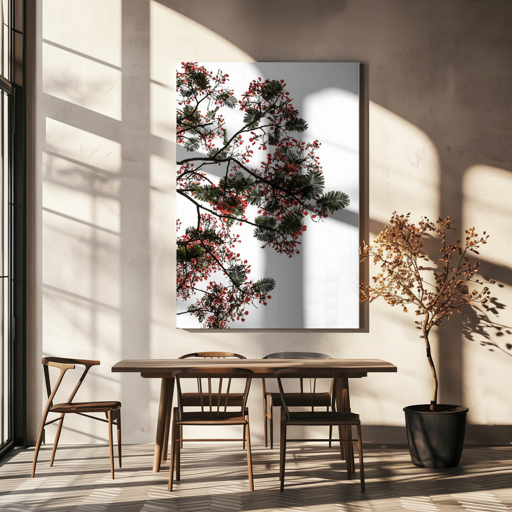 Blossom Canopy | Canvas