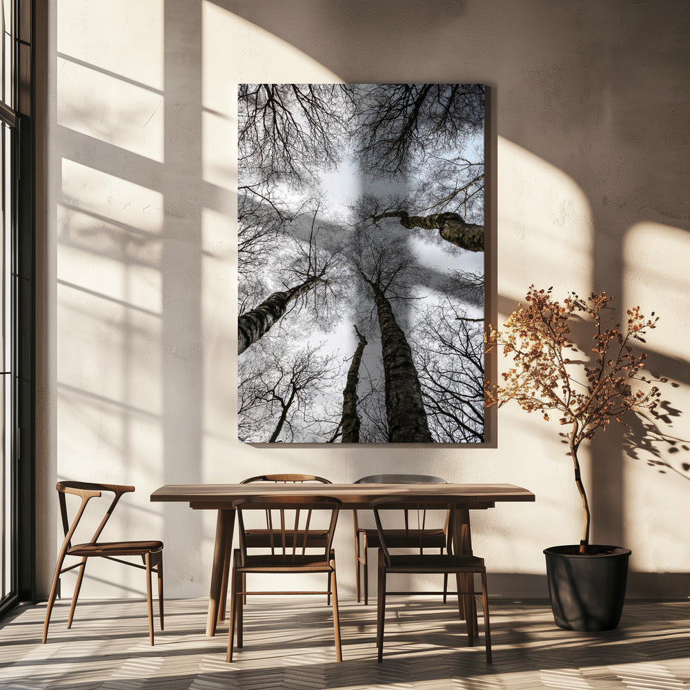 Winter&#039;s Embrace | Canvas