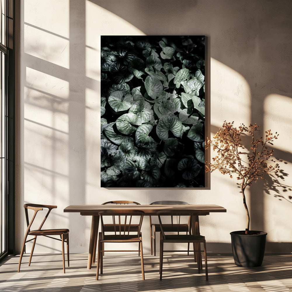 Leafy Shadows | Canvas