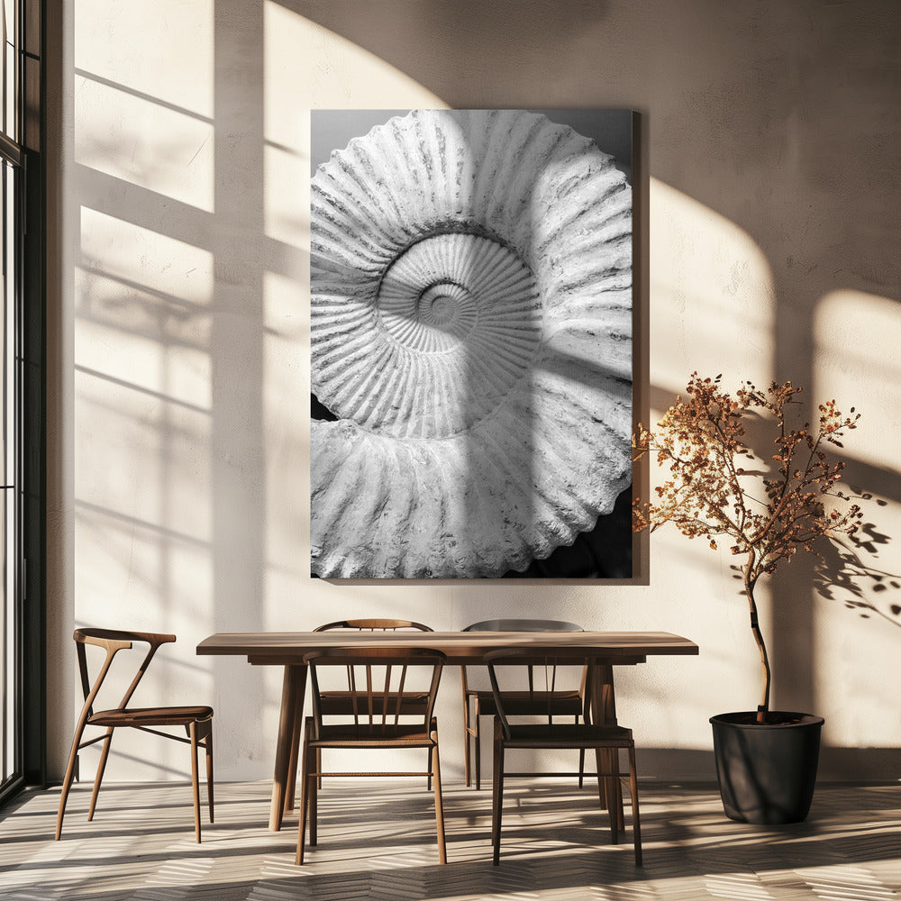 Ancient Spiral Dreams | Canvas