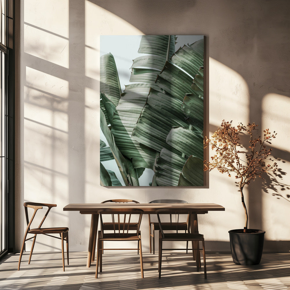 Banana Leaf Harmony | Canvas