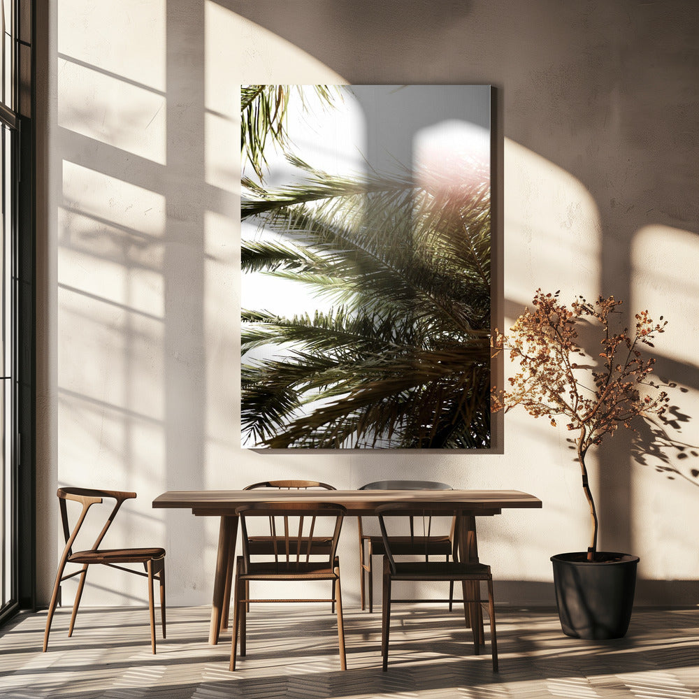 Sunlit Palm Dream | Canvas