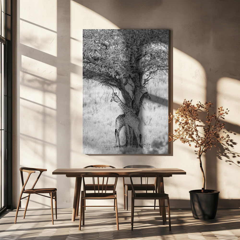 Under African Skies | Canvas