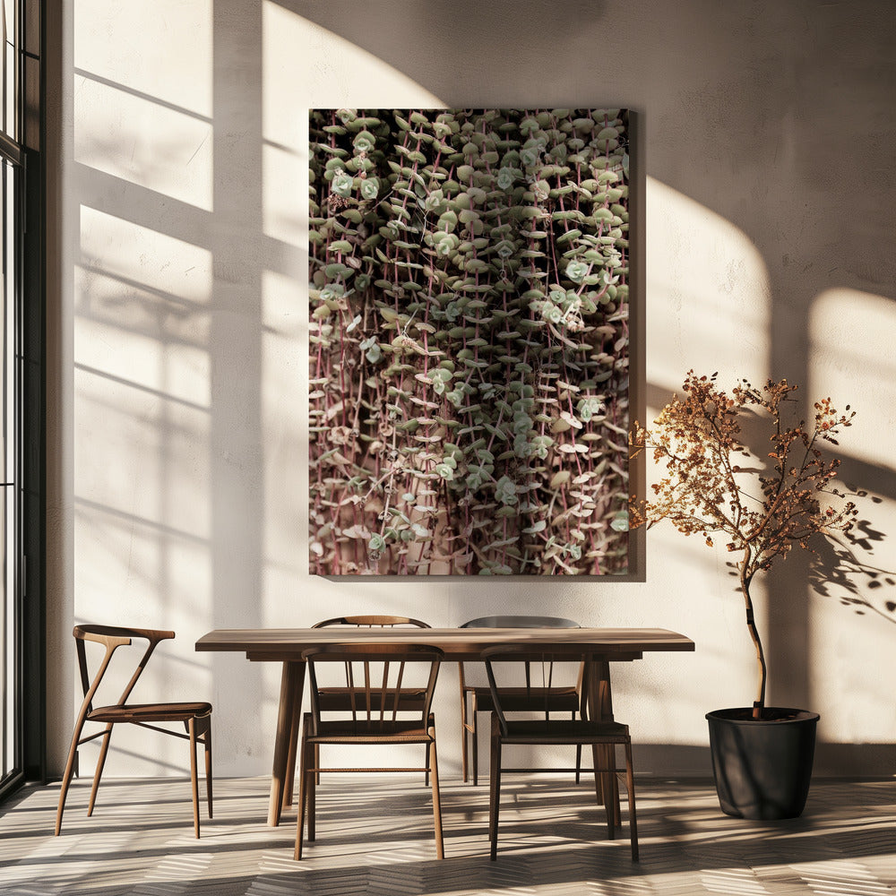 Succulent Symphony | Canvas