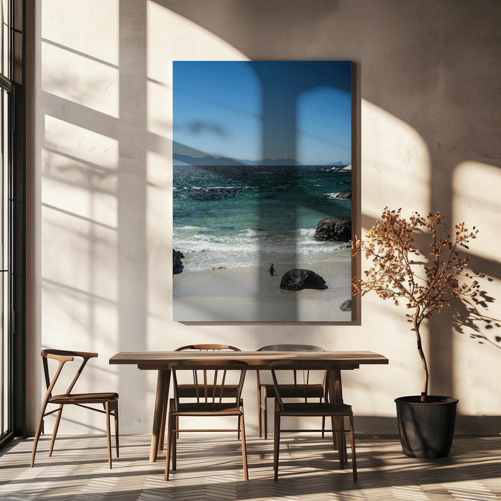 Penguin&#039;s Beach Walk | Canvas