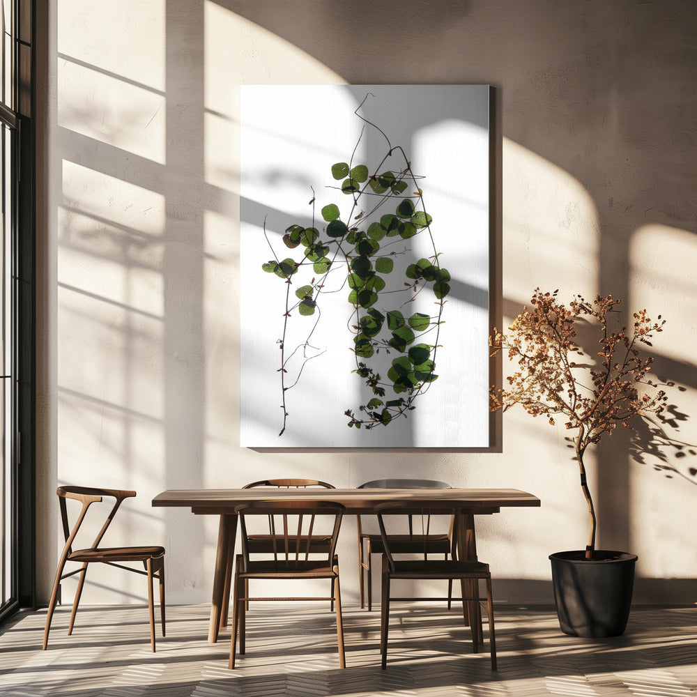 Vine’s Dance | Canvas