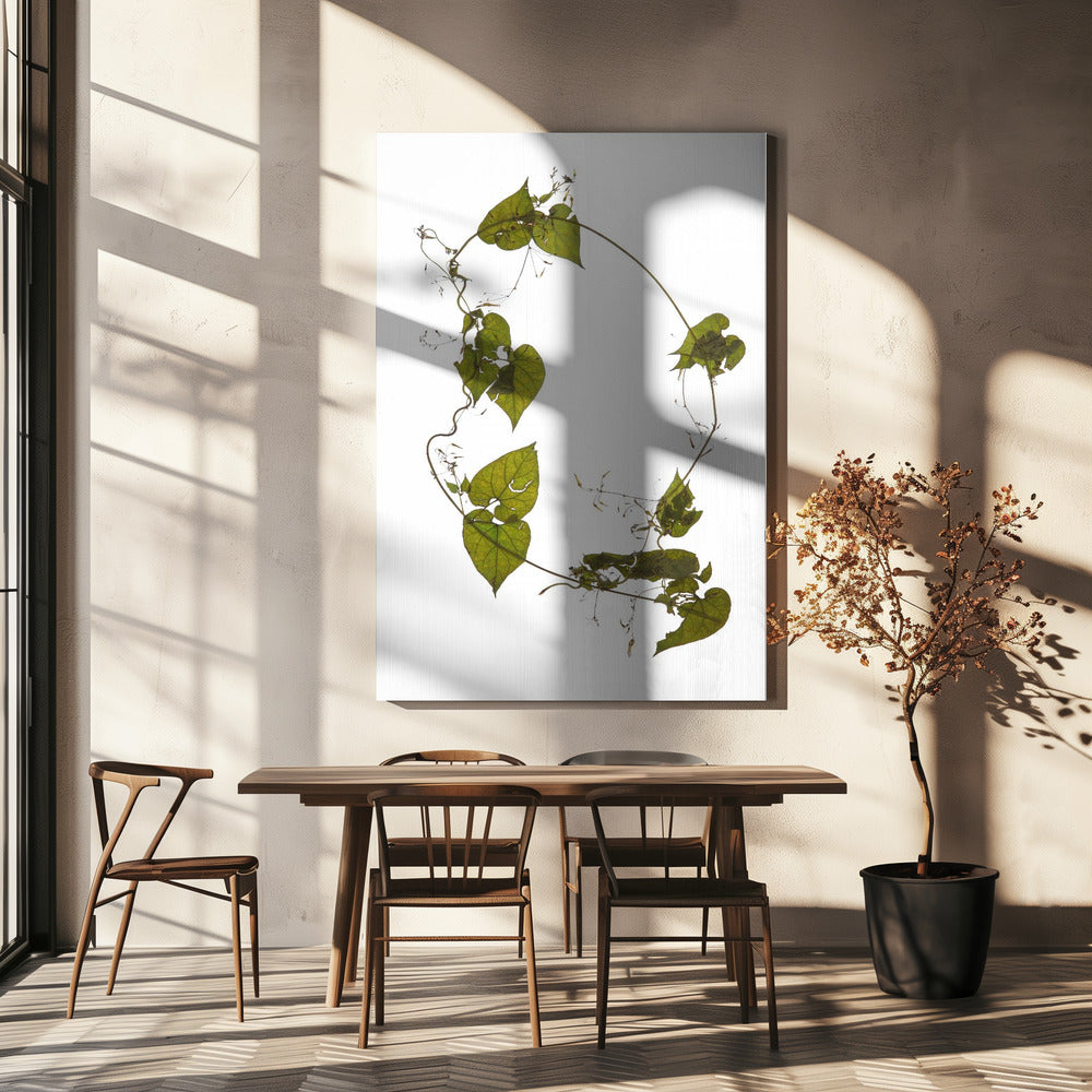 Leafy Circle Dance | Canvas