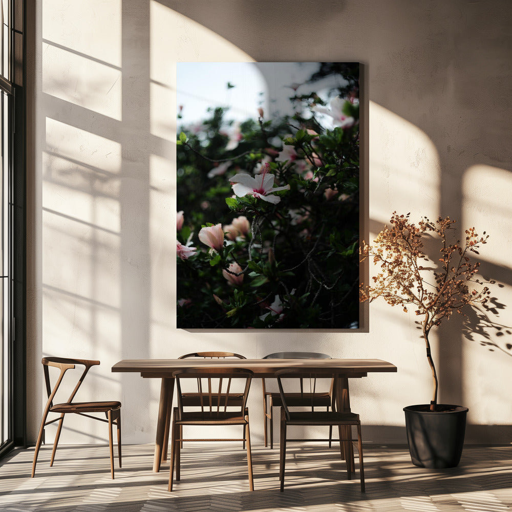 Blossoms in Bloom | Canvas