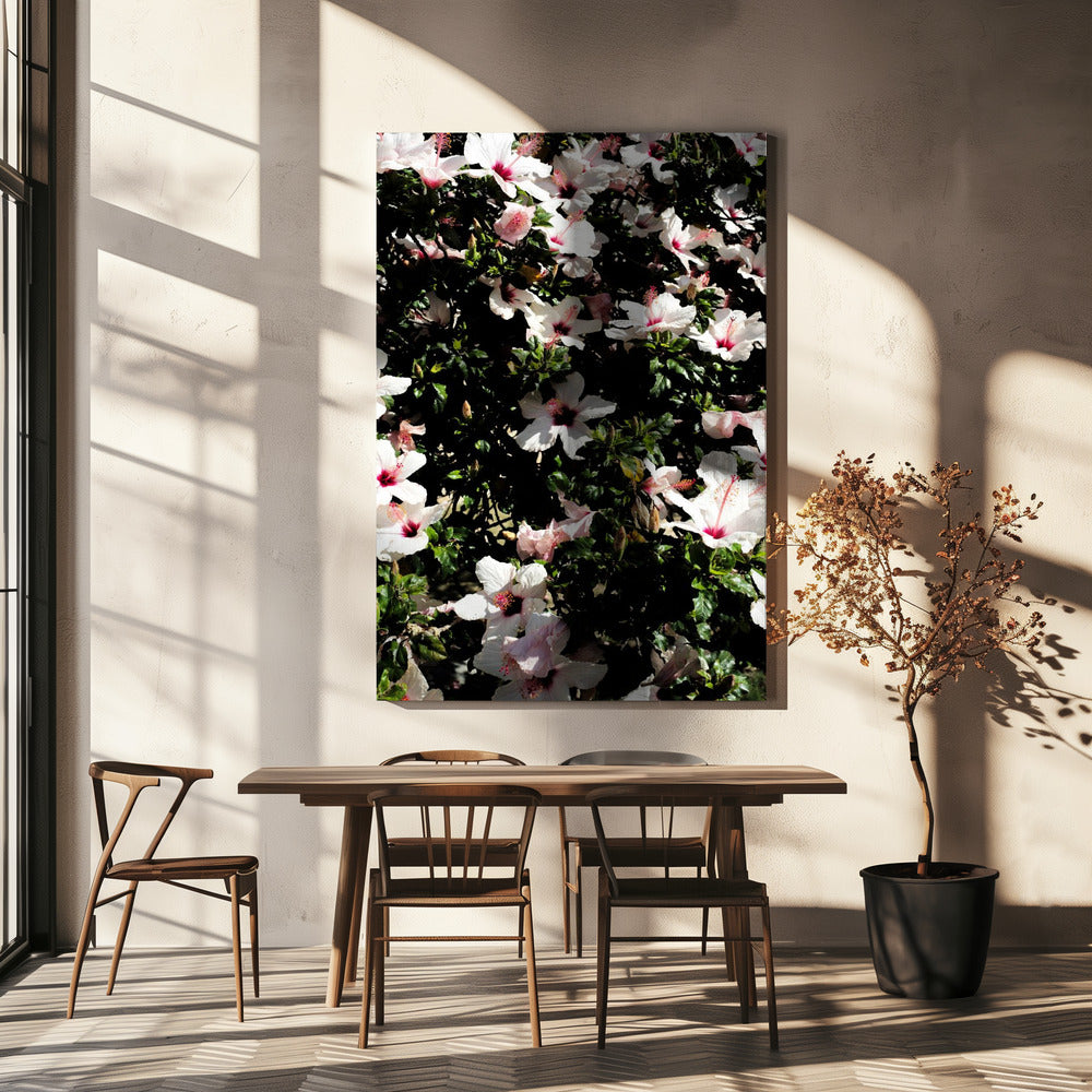 Blossom Symphony | Canvas