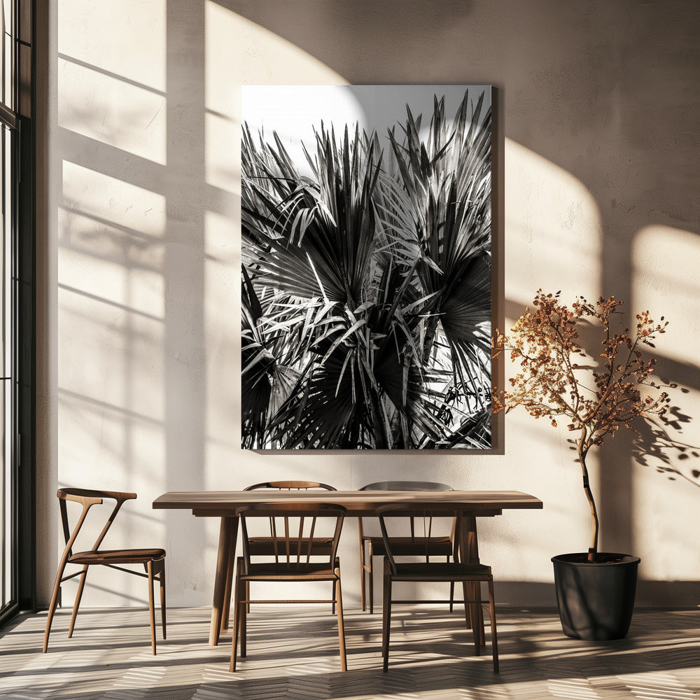 Spiky Serenity | Canvas