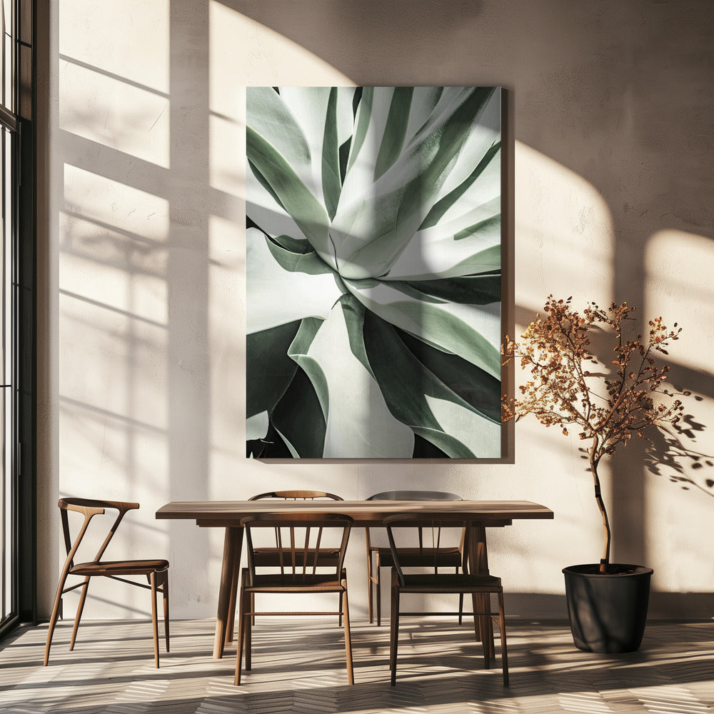 Succulent Harmony | Canvas
