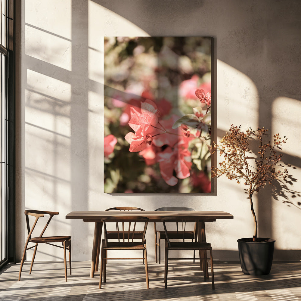 Petals in Focus | Canvas