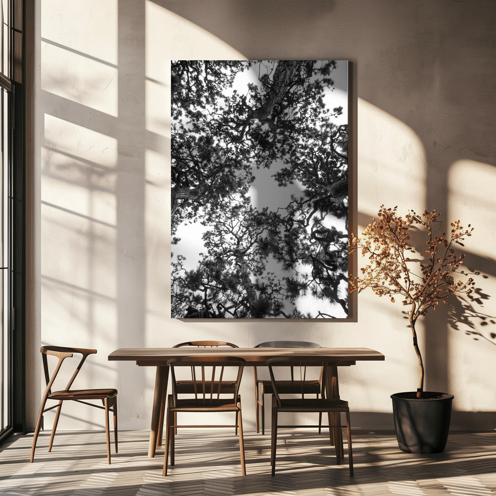 Canopy Symphony | Canvas