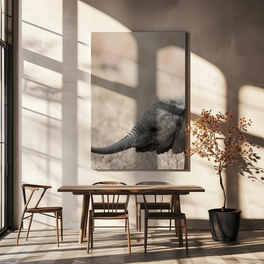 Gentle Giant&#039;s Gaze | Canvas