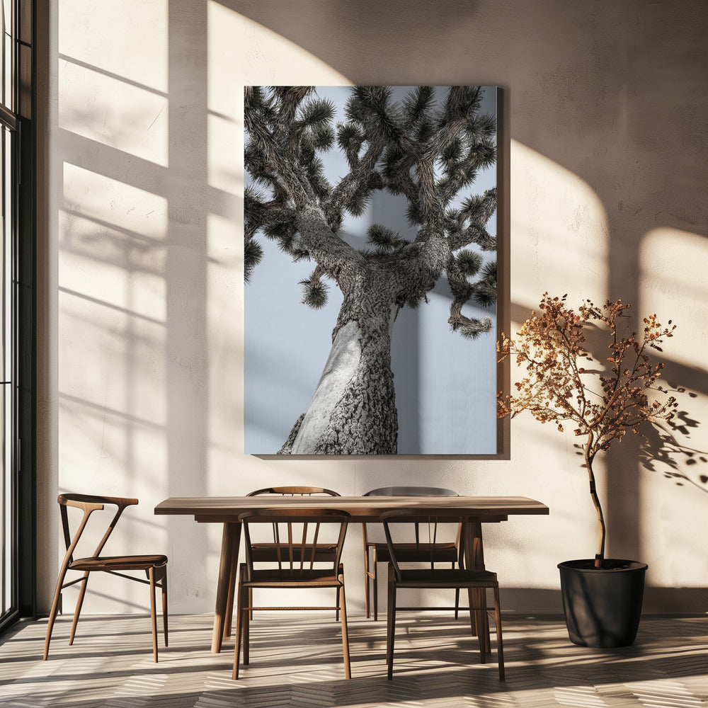 Twisting Desert Giant | Canvas