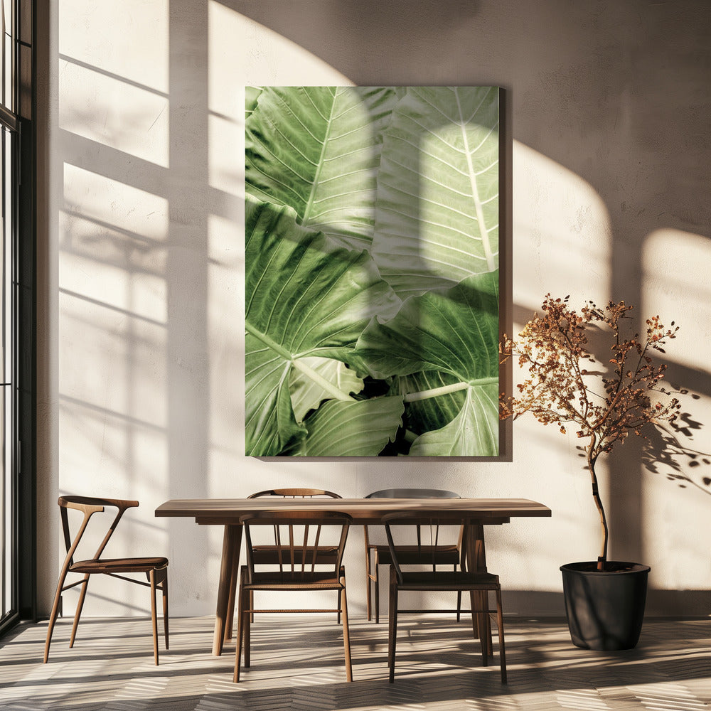 Verdant Foliage | Canvas