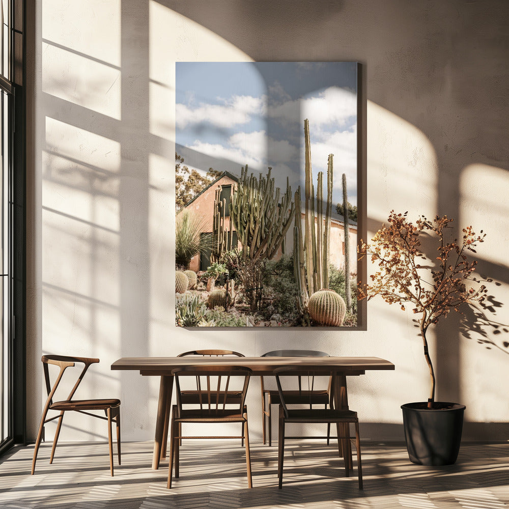 Cactus Haven | Canvas