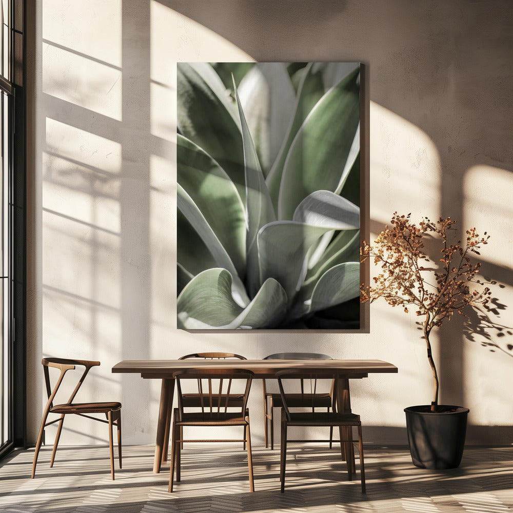 Agave Whisper | Canvas
