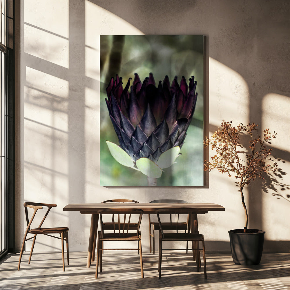 Shadowed Blossom | Canvas