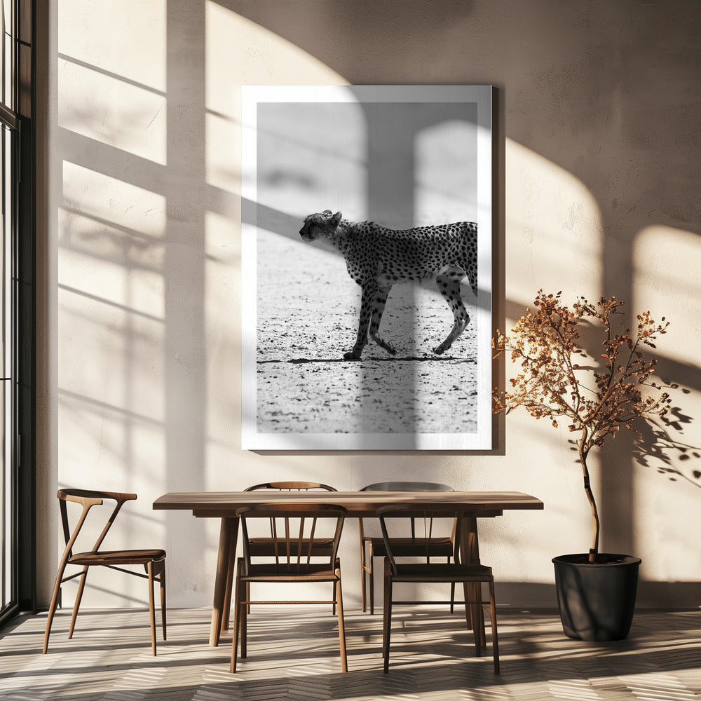 Cheetah&#039;s Stride | Canvas