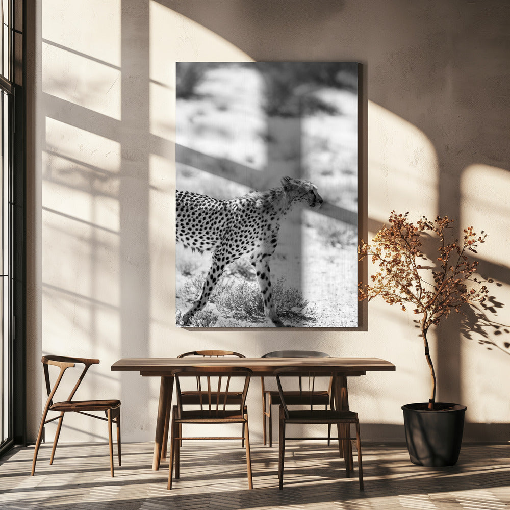 Cheetah&#039;s Grace | Canvas