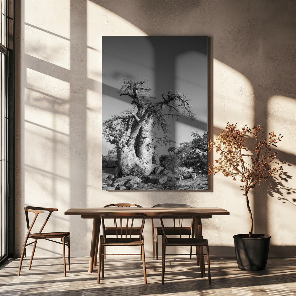 Ancient Sentinel | Canvas