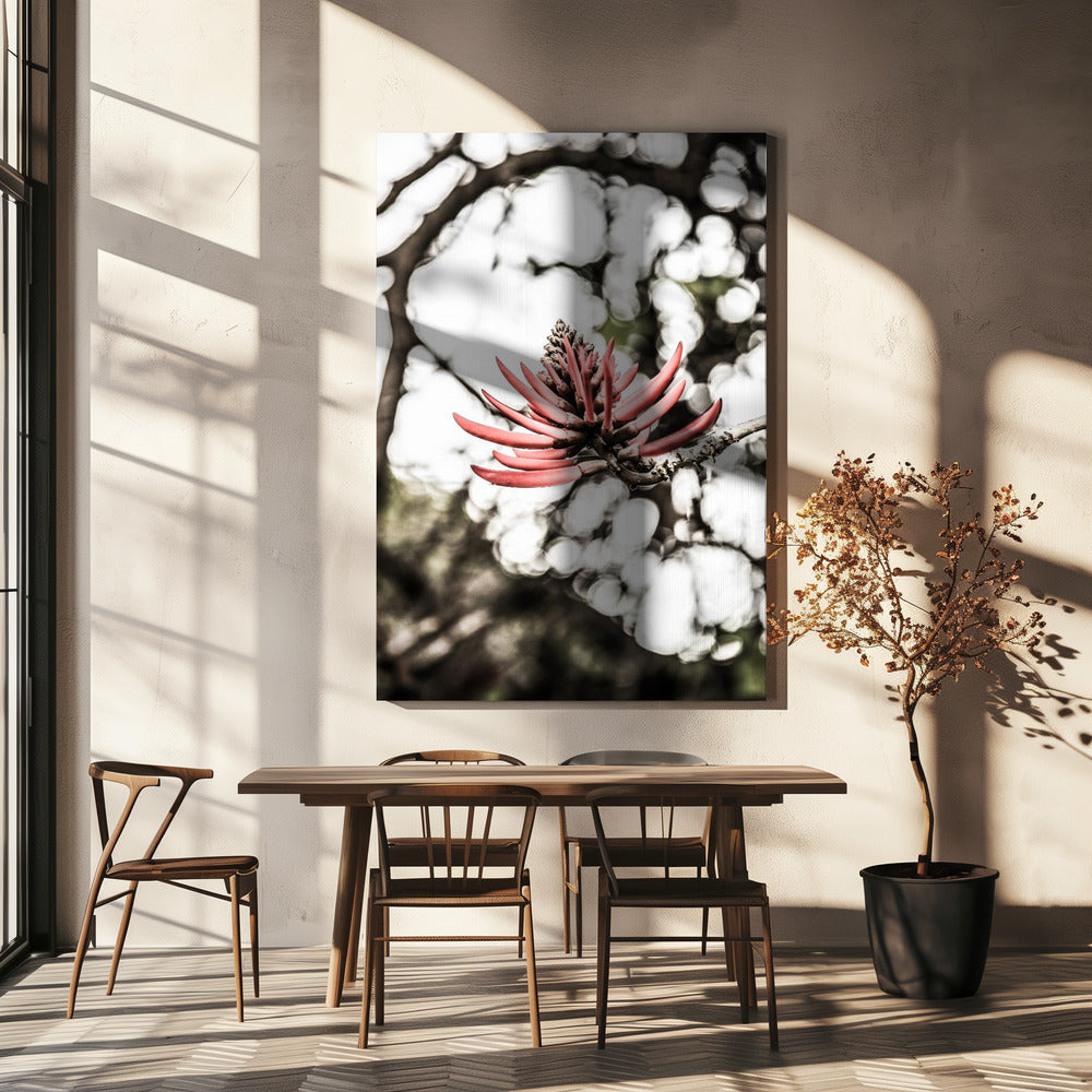 Crimson Blossom | Canvas