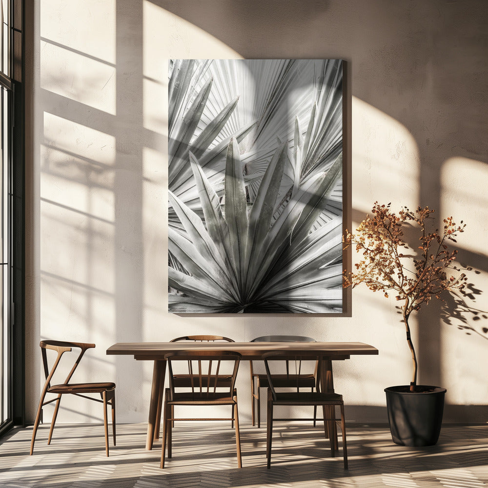 Silver Fronds | Canvas