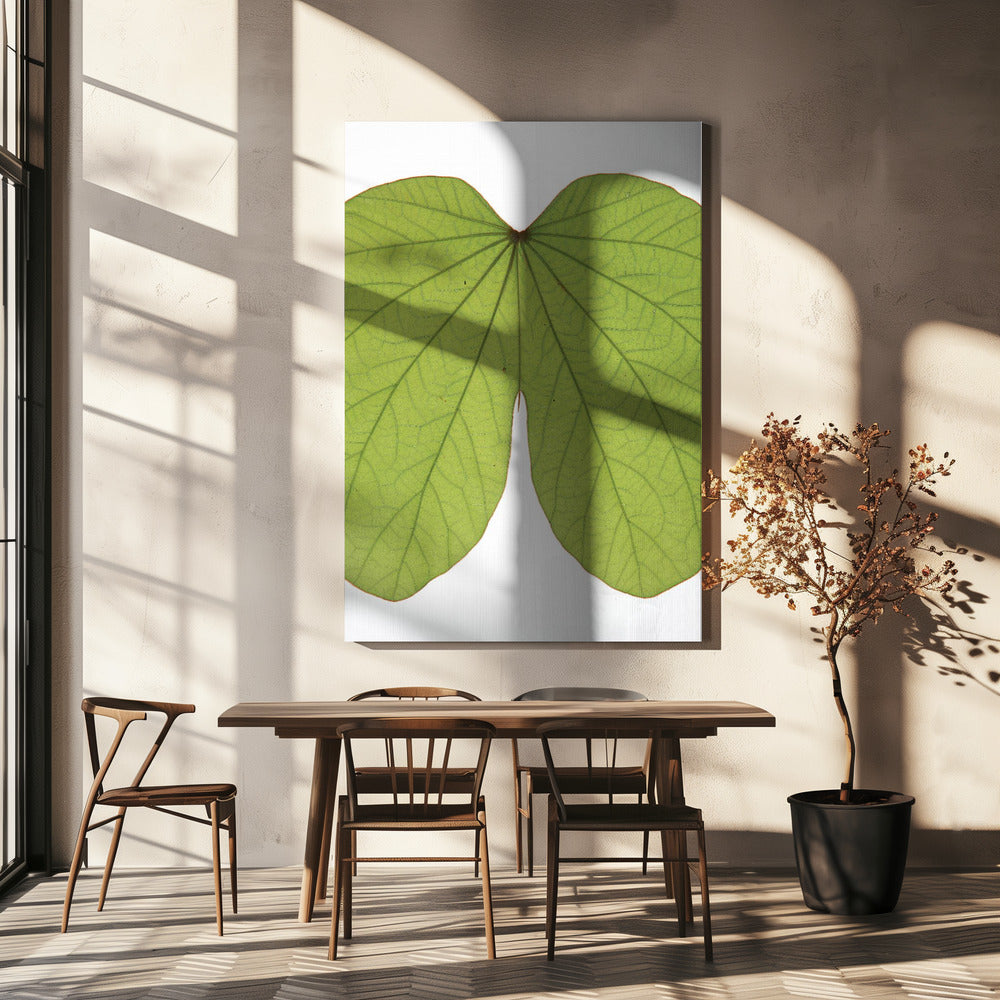Leafy Vein Symphony | Canvas