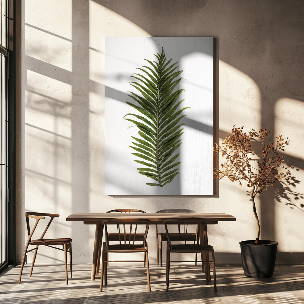 Fern Elegance | Canvas