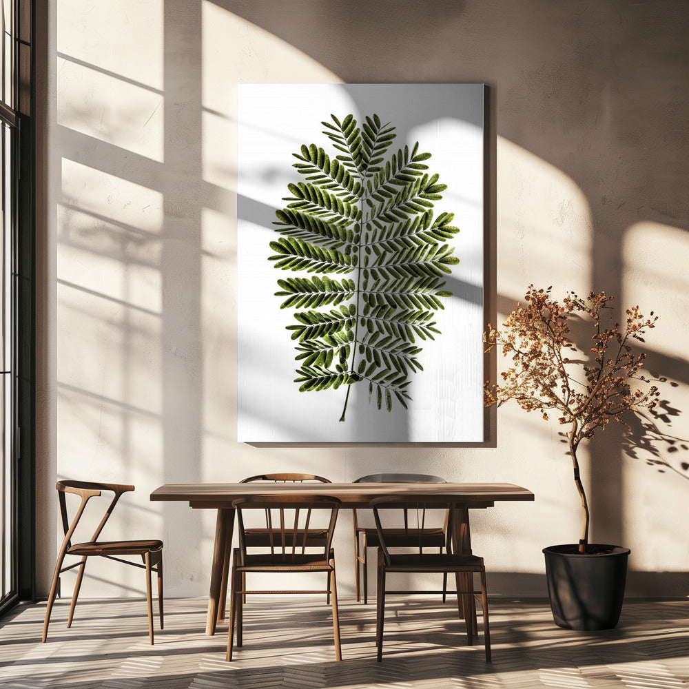 Fern&#039;s Symphony | Canvas