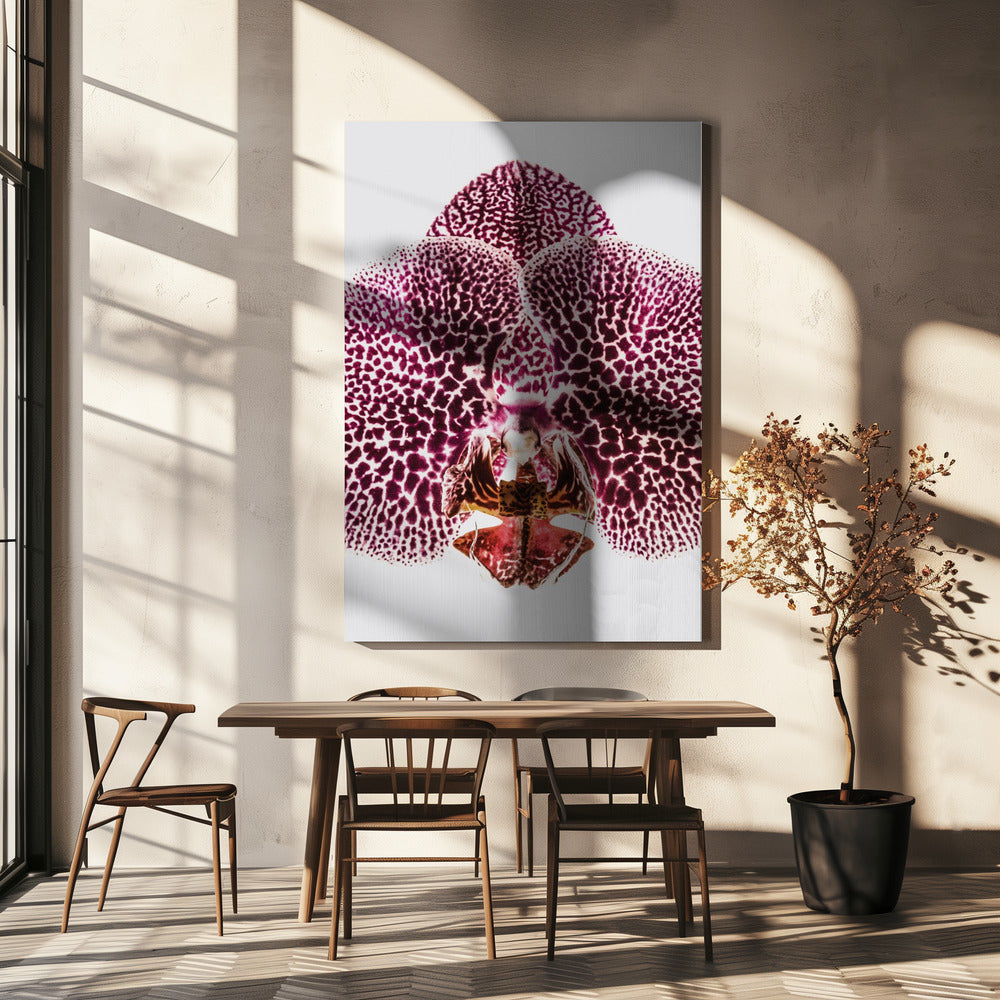 Petal Symmetry Burst | Canvas