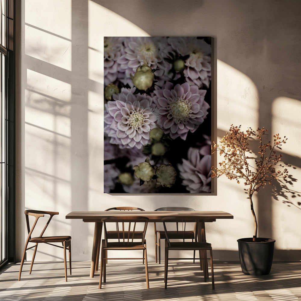 Petals in Bloom | Canvas