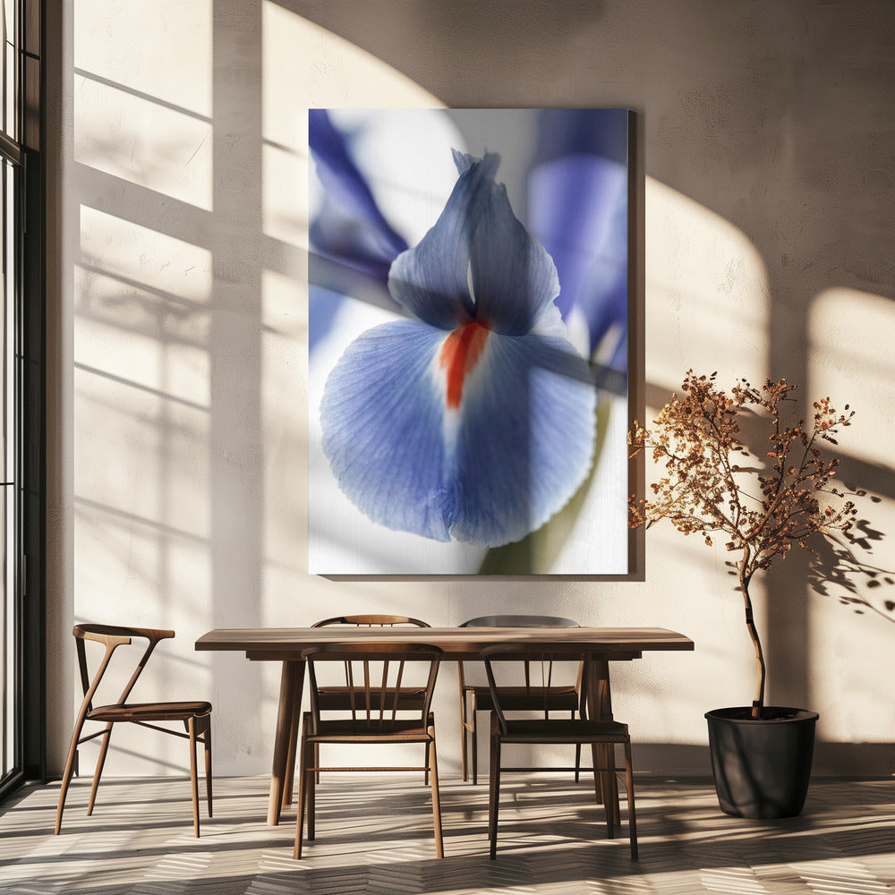 Blossom Whisper | Canvas