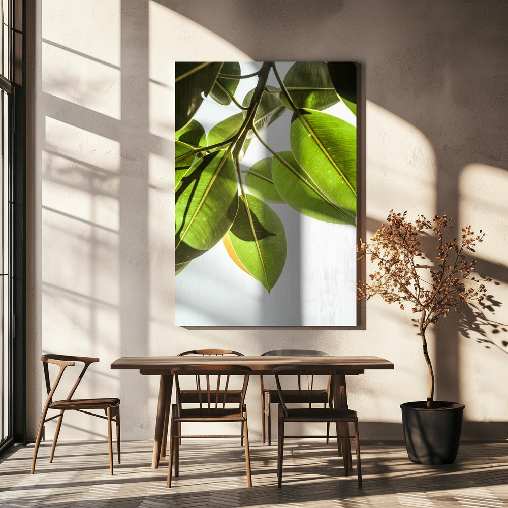 Sunlit Leaves | Canvas