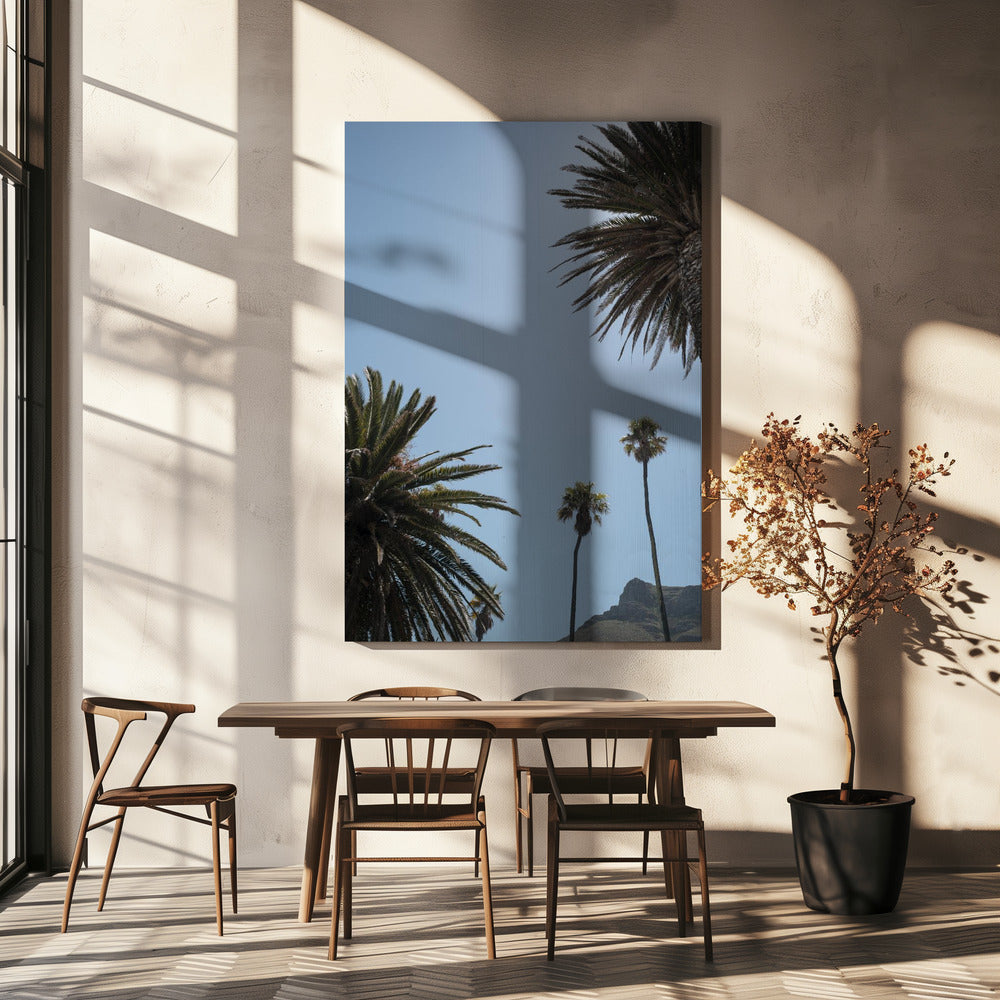 Sunny Palm Heights | Canvas