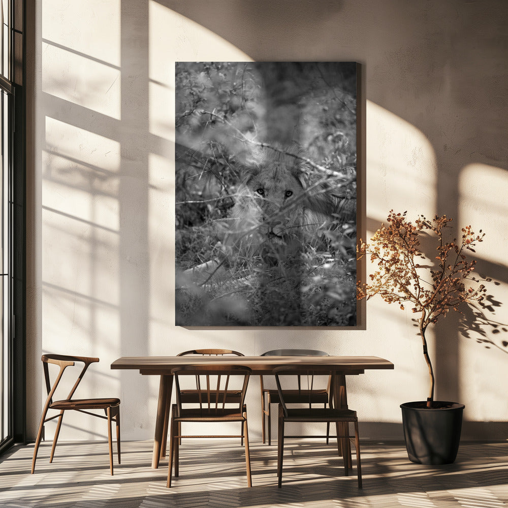 Hidden Majesty | Canvas