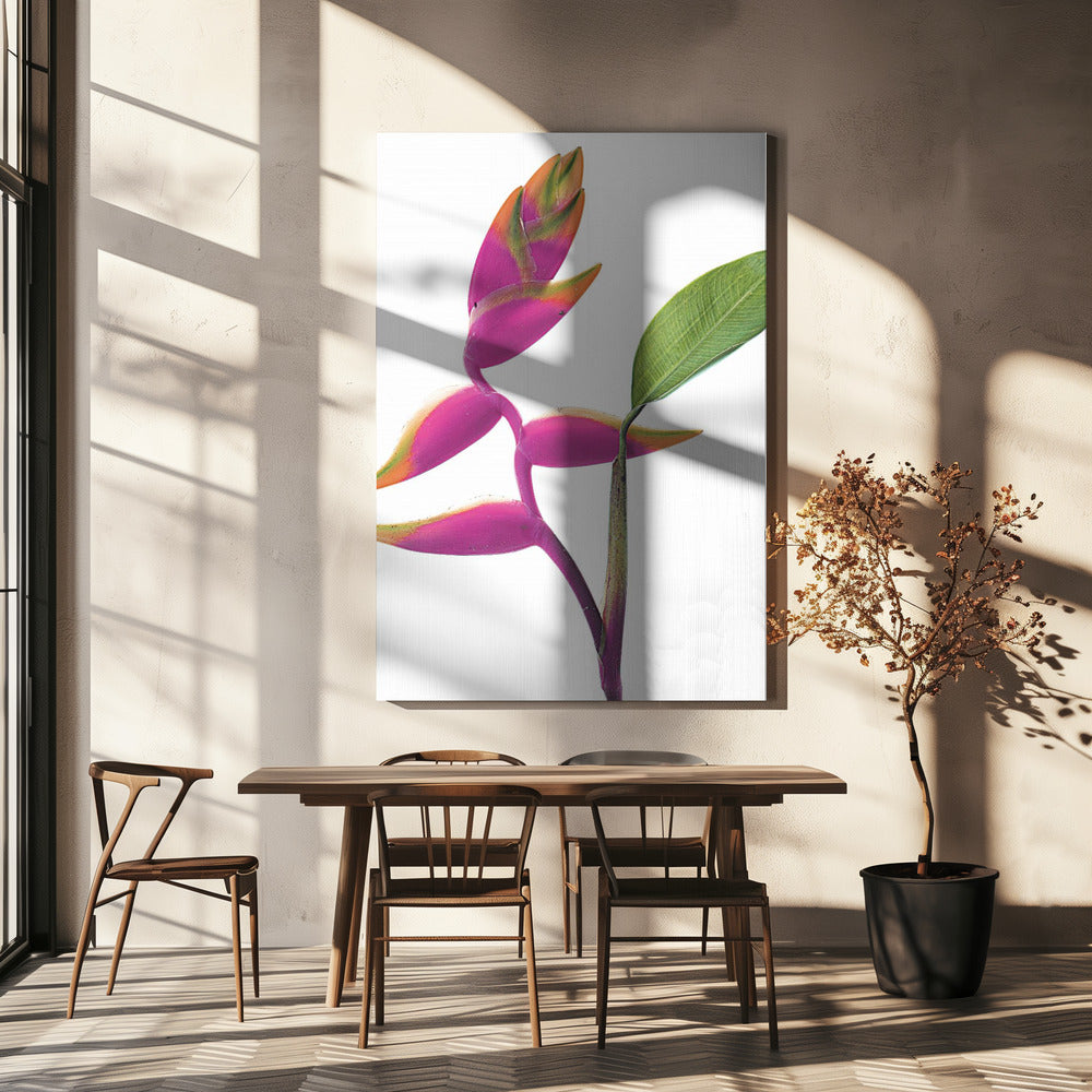 Tropical Elegance | Canvas